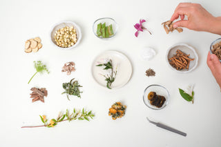 Fresh Chinese herbs, neatly organised in a grid against a white background. 