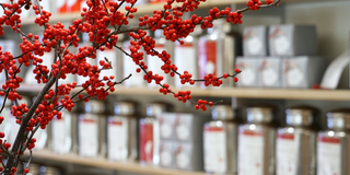 From Chinatown Herbalists to Acupuncture Worth Using Your Insurance For: Our San Francisco TCM Guide