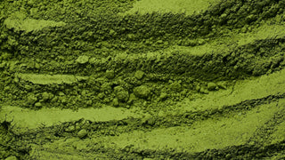 Why Matcha Might Be Messing With Your Feminine Energy (Yep, We Said It)