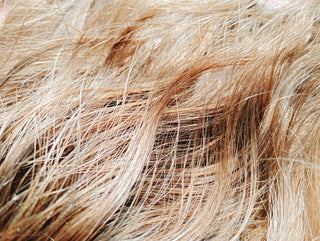 The Grey-Hair-Fighting Chinese Foods You Need in Your Menopausal Wellness Ritual